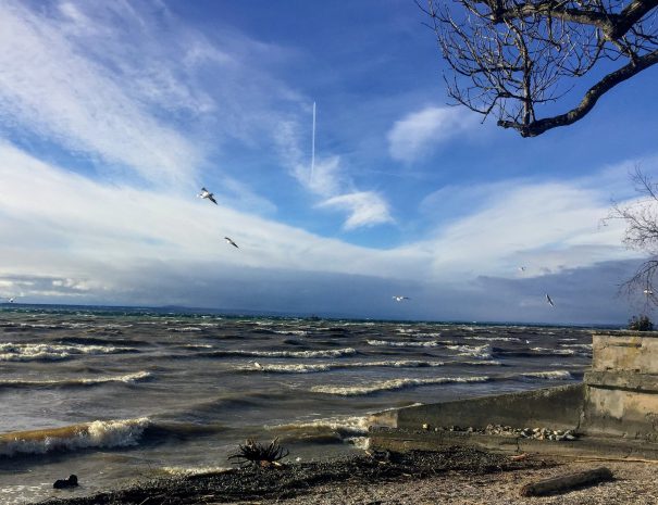 Herbst am See