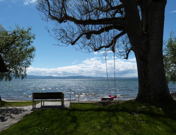 Die Schaukel am See